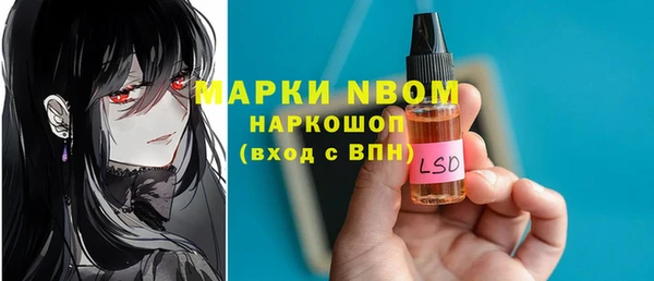 стафф Кодинск