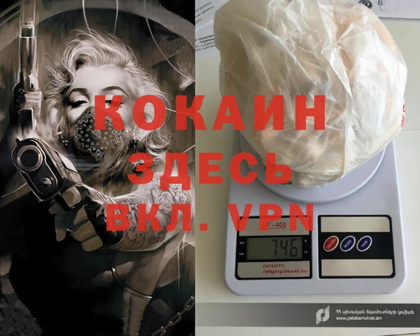 стафф Кодинск