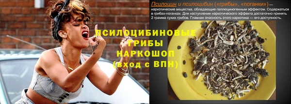 стафф Кодинск