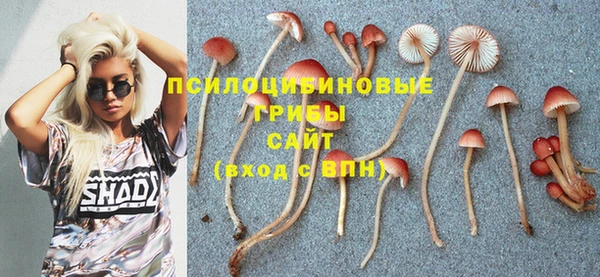 a pvp Козельск